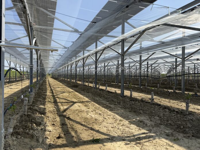 agrivoltaico avanzato