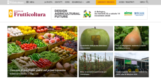 Fonti preferite su Google: ecco come aggiungere Frutticoltura fonti preferite Google