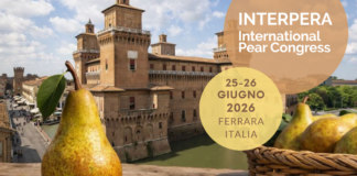 Interpera 2026, si avvicina l’appuntamento del 25 e 26 giugno interpera 2026