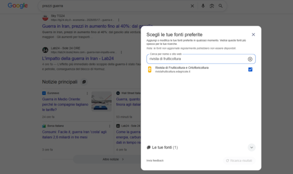 preferenze google