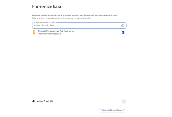 preferenze google