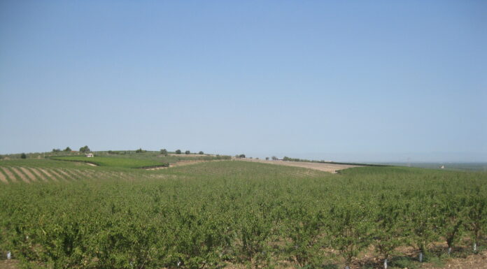 altissima densità