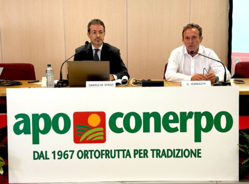 Apo Conerpo