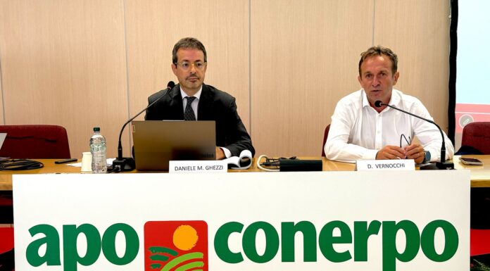 Apo Conerpo
