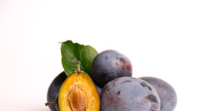 Viulèt: la susina europea ritrova gusto, qualità e mercato susina Viulèt
