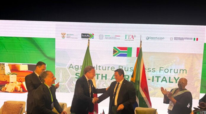 Uva da tavola italiana: via libera all’export in Sudafrica