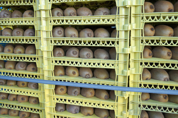 kiwi in Vietnam