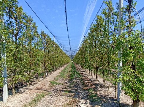costi produzione