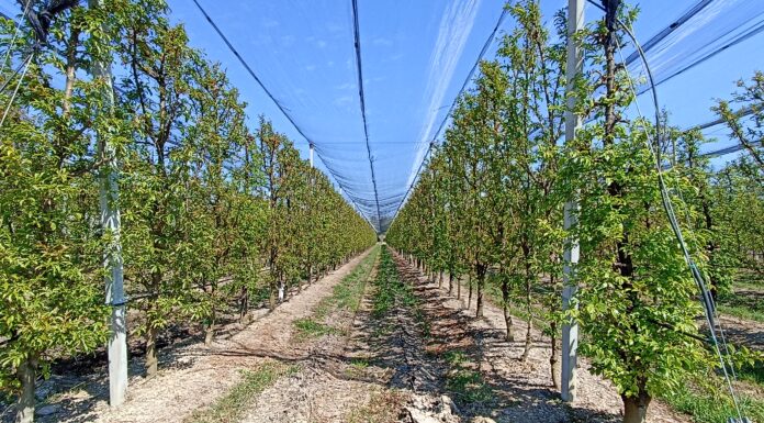 costi produzione