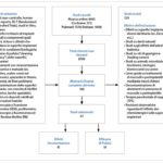 FIG. 1 La flowchart esemplifica il metodo della ricerca effettuata.