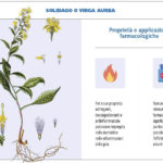 Sarri__Pagina_2