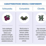 Sarri__Pagina_4