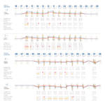 Fig. 6 Cartella parodontale di rivalutazione a 6 mesi.