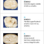 Tab. 6