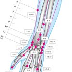 Fig. 3 Rappresentazione dei principali agopunti sulla mano e sull’avambraccio interno.