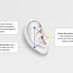 Fig. 4 Punti auricoloterapici per la tecnica di rilassamento