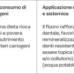 Strategie per la prevenzione delle carie.