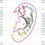 Fig. 3 Mappa cinese e francese modificata da Oleson.