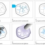 Applicazione per step