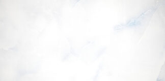 White spot lesions. Analisi critica della letteratura e confronto tra approcci diagnostici, preventivi e terapeutici