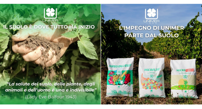 gestione suolo