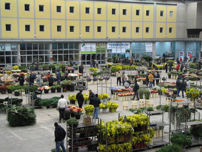 mercato fiori