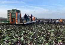 Ortomec Summer Tour, la nuova agevolatrice in azione nei campi ortomec summer tour