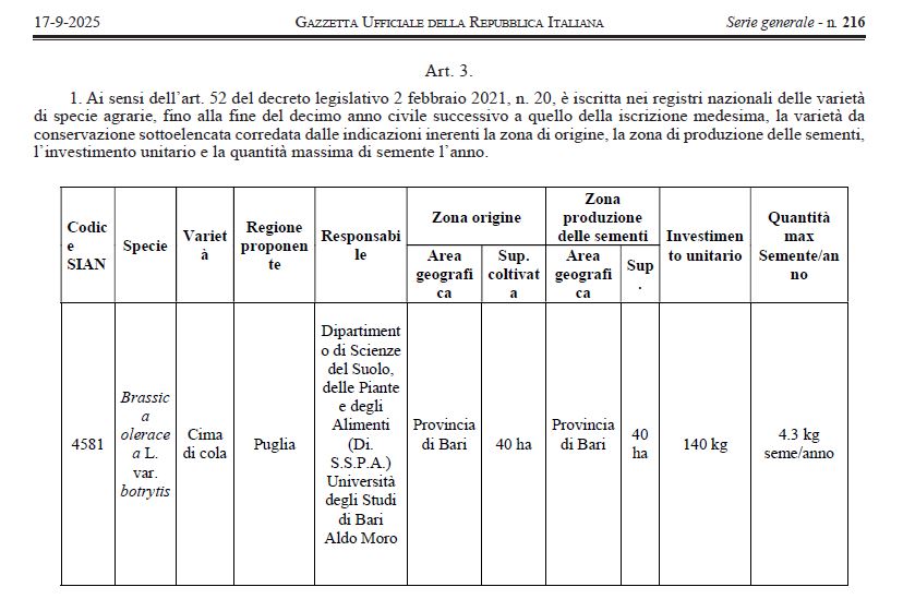 gazzetta
