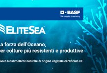 biostimolante colture specializzate