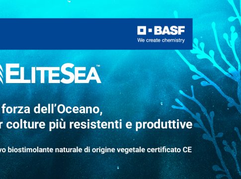 biostimolante colture specializzate