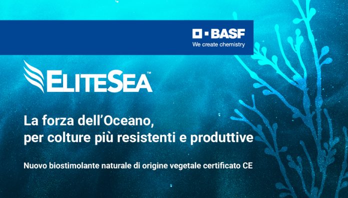 biostimolante colture specializzate