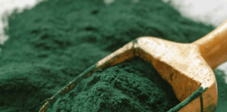 Il potere della spirulina per l’agricoltura moderna