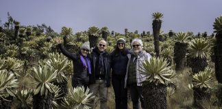 Floricoltura, due nuove specie dalle Ande uniscono Ecuador e Italia