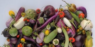 Melanzana, lo studio sul genoma che cambia la ricerca varietale