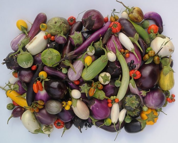 582681900_1341485811322707_2833399605704349756_n