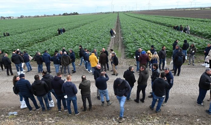 Apertura cilentus day