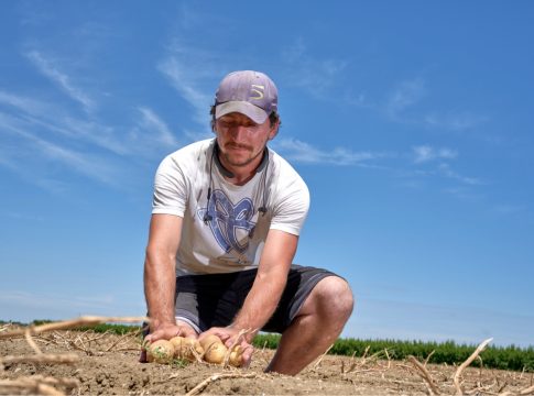 patata di bologna dop