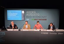 Dalla bioeconomia tante soluzioni per l’agricoltura sostenibile