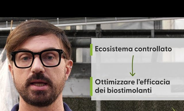 Biostimolanti in serra, pratica efficiente e sostenibile