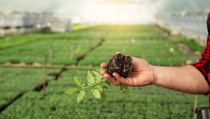 orticoltura, terra e biostimolante vigoramin root