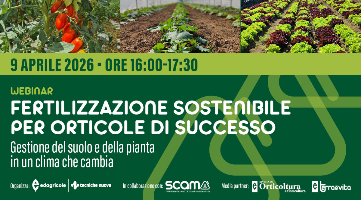 An image representing Webinar: Fertilizzazione sostenibile per orticole di successo