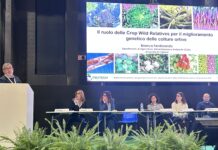 Innovazione genetica in orticoltura: dal germoplasma selvatico alle tecniche di evoluzione assistita