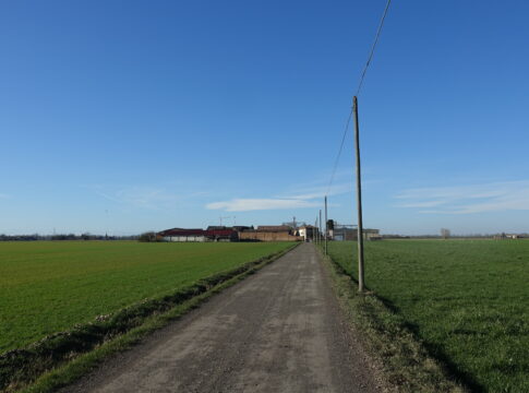 Pomodoro da industria, fertilità del suolo e rese elevate: il modello dell’azienda Pareti