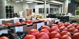 Crisi in Medio Oriente, sui mercati ortofrutticoli prezzi in aumento fino al 32% prezzi ortaggi