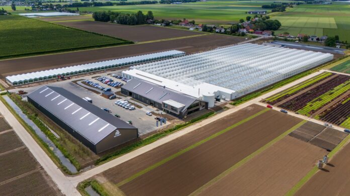 1. Rijk Zwaan opens new trial centre for open-field crops