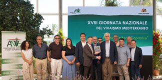 vivaismo mediterraneo