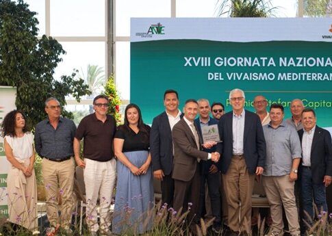 vivaismo mediterraneo