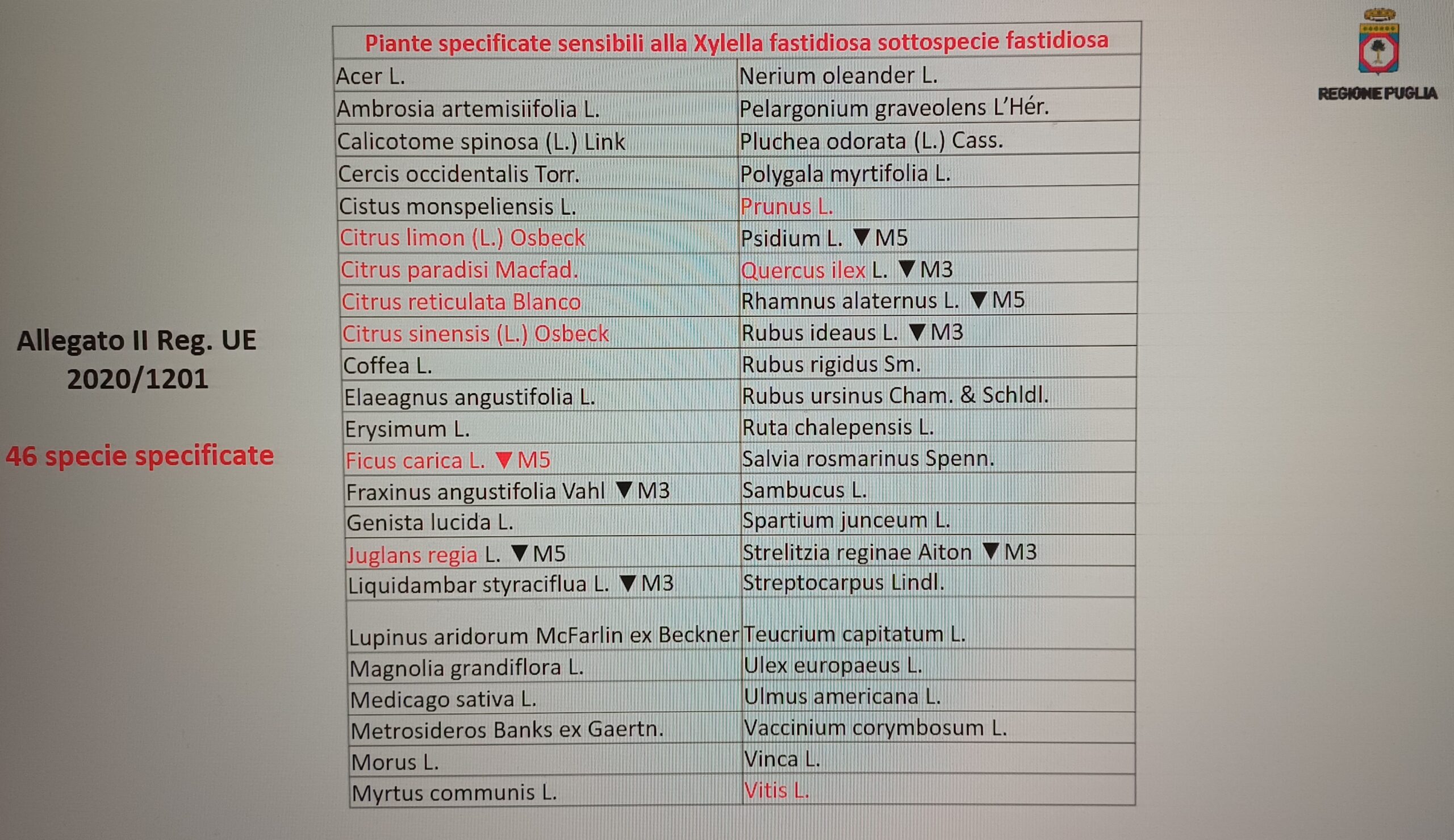 specie 1