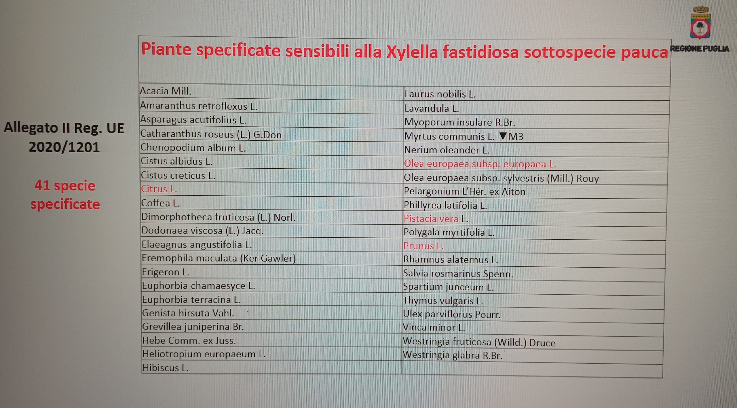 specie 2