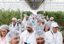 Dalla Sicilia un laboratorio di innovazione per l’orticoltura mediterranea